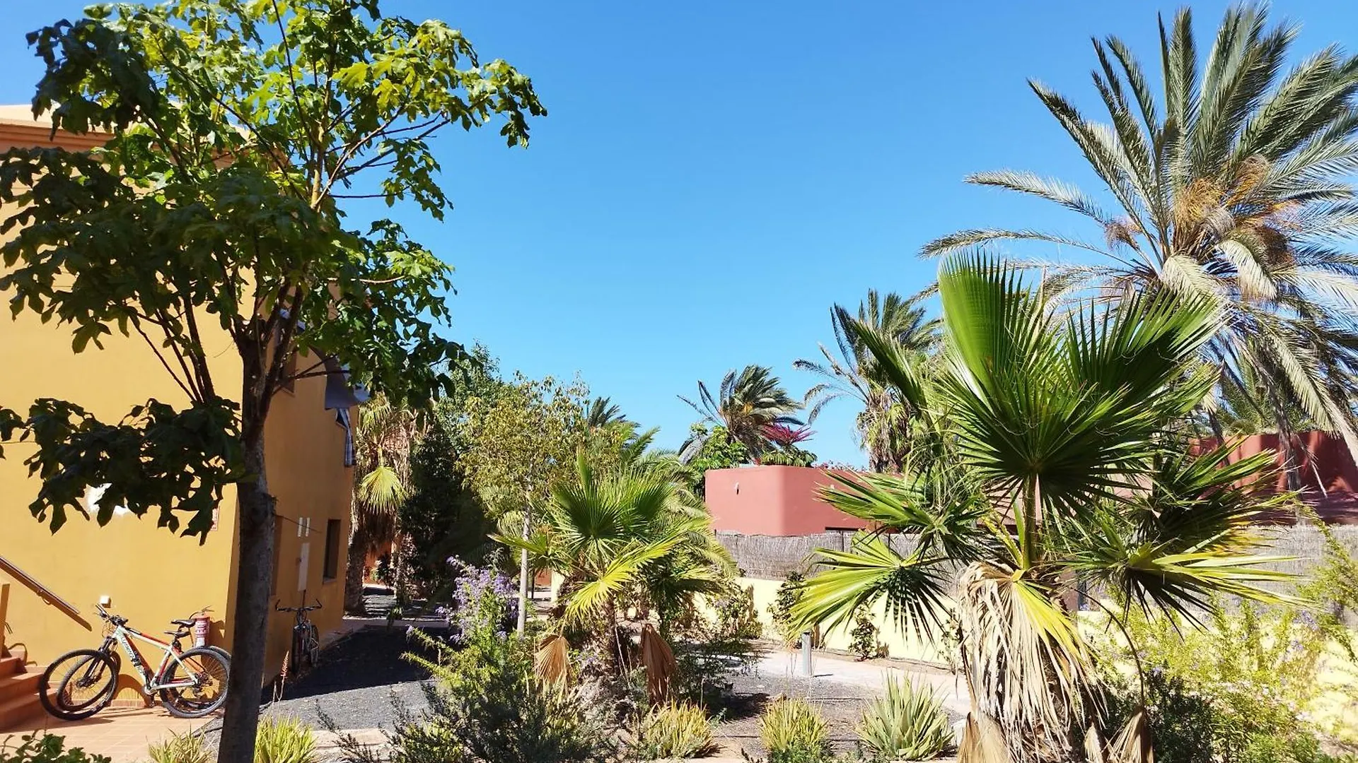 Cozy Apartment In Tamarindo 2 Κοραλέχο